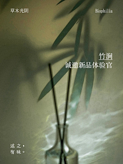 Resume﹏丶采集到绿色国风