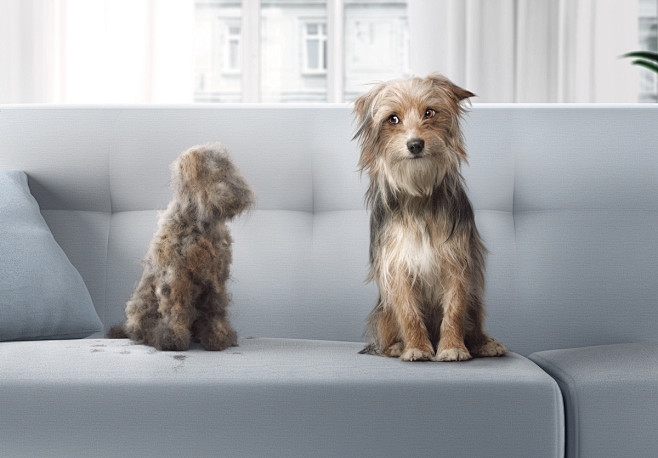 sinbovacuumcleanercatdog3dcompositingbeeistanbulbrandsinbovacuum