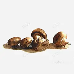 卡通蘑菇 免费下载 页面网页 平面电商 创意素材