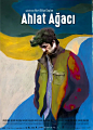 野梨树 Ahlat Ağacı 海报