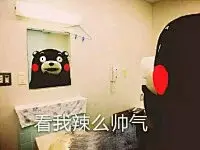 熊本表情包大集合-兴趣部落