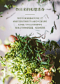 【买1送1】八马茶叶 2020春茶香绿茶长炒青绿茶新茶袋装100g-tmall.com天猫