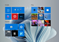 Behance 上的 Windows