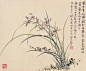 中国风：素心兰香 ​​​​