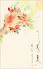 浅夏