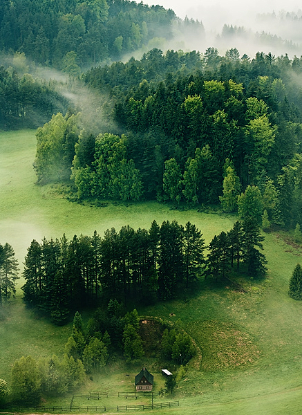 森林雾，捷克共和国