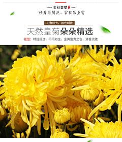 买菜市民炸鸡采集到茶