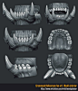 ArtStation - Orc teeth, Wendy de Boer: 
