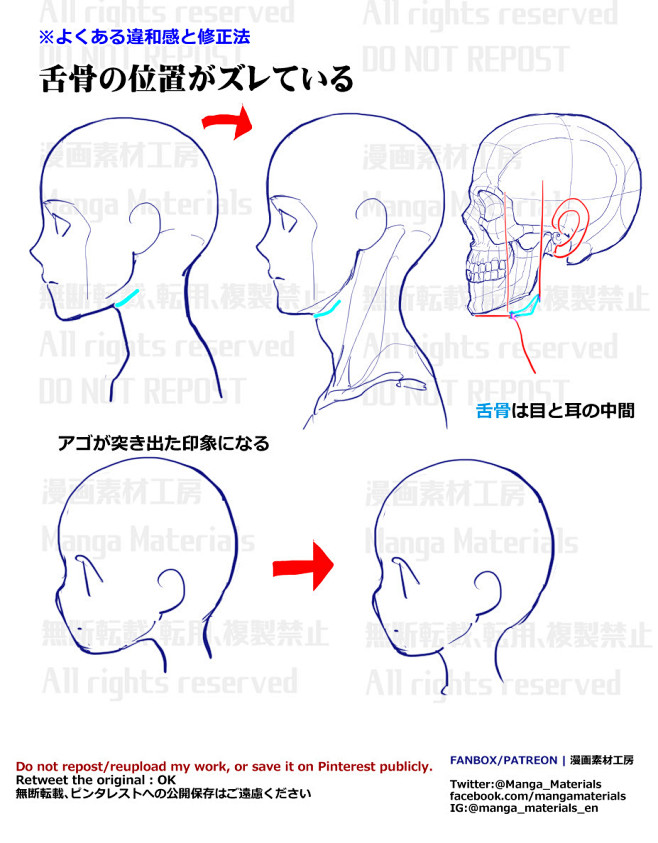 #漫画素材工房 個人メモ：下顎と舌骨 -...