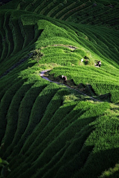 미스유采集到自然 景观 建筑 风景