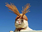 猫叔