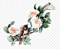春天 春季 春 春天花开 春天开花 花 古典 