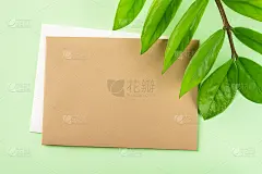 空白的棕色纸卡和新鲜的绿色叶子永恒祖祖植物或Zamioculcas zamiifolia在一个柔和的