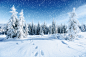 Photo fantastic winter landscape and trodden trails that lead into the