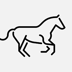 马horse-花瓣网|陪你做生活的设计师 | 赏