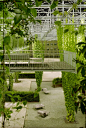 Landscape Gardening Jobs In Fife