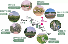 徒児采集到排版