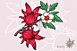 洛神葵插画图片素材_ID:387896478-Veer图库