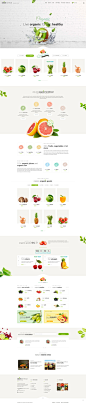 Bootstrap3绿色农场果蔬类食品商城网站 - naturix farmfood - 网站模板，下载最新最全的网站模板 - 模板世界