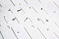 AF Photobook by Omnivore : Photobook design for Omnivorephoto