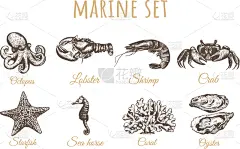 海星,珊瑚,海马,牡蛎,章鱼,野生动物,食品,船,鹦鹉螺,复古