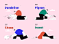 Doc.png