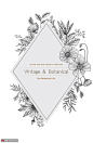 美丽菱框 手绘线描 植物花卉 植物插图插画设计PSD tid025t001457图案设计素材下载-优图网-UPPSD