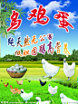乌鸡蛋源文件