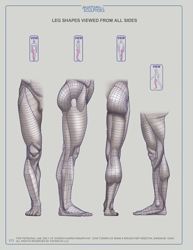 anatomy for sculptor...
