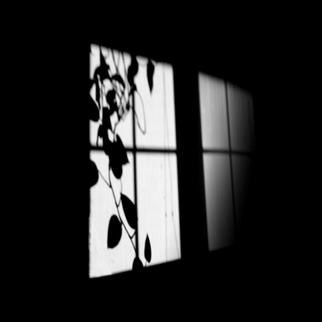 Blinds_34