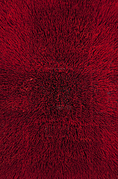 花の木兮采集到red