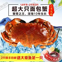 美食海报 【酷图网】展架展板,宣传栏,宣传单,海鲜,虾蟹,鸡鸭鱼肉,小吃,饮食店,美食店,美味,面筋粉,烧烤,香辣酸甜,美食节,牛排比萨