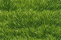 自然风景青草图片