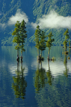 阳光正好啦啦啦采集到Lonelyland-NewZealand