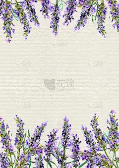 薰衣草的花。水彩边境