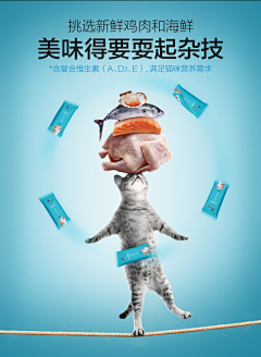 Chen666采集到主图直通车图