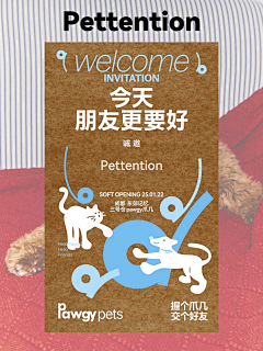 枕头下的童话书采集到排版-板式