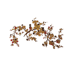 Coco空采集到古风(花)草树木