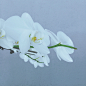 来自相册