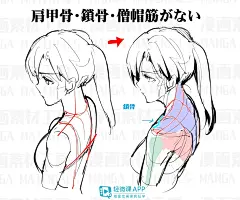 漫画手绘人体怎么画？一步步教你画漫画手绘人体