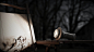 camping camping lights flashlight Outdoor Products product design 