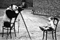 1938年12月，5只大熊猫被走私到英国，其中4只被伦敦动物园买下。在提图中，曾为英皇室拍摄照片，后来做过战地记者的摄影师 Bert Hardy 正给大熊猫拍照，而此时大熊猫又爬上凳子做出为他儿子拍照的动作。