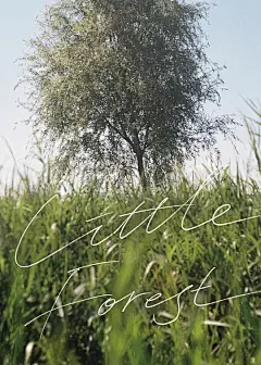 小森林 리틀 포레스트 海报