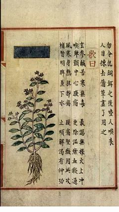 补遗雷公炮制便览