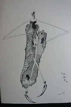 小小雏菊  的插画 老家的一草，一木，一花，一树皮。。。