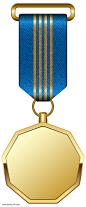 蓝带奖励勋章荣誉奖牌