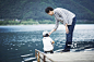 父亲,儿子,钓鱼,湖,河岸正版图片素材