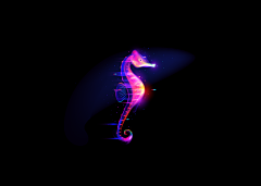 飕的一声采集到B—BianB