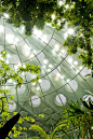 California Academy of Sciences / Renzo Piano（加州科学院）