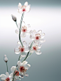 lukfook_White_background_futuristic_plum_blossom_detailed_plant_0aabe32a-e8e3-48ad-aaf9-308d858b8bfb